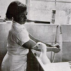 Jessie Price Image from Ebony magazine, September 1964.