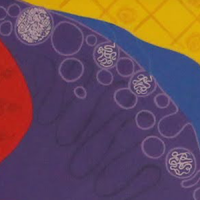 Viral RNA replication complex in mitochondria wall vesicles